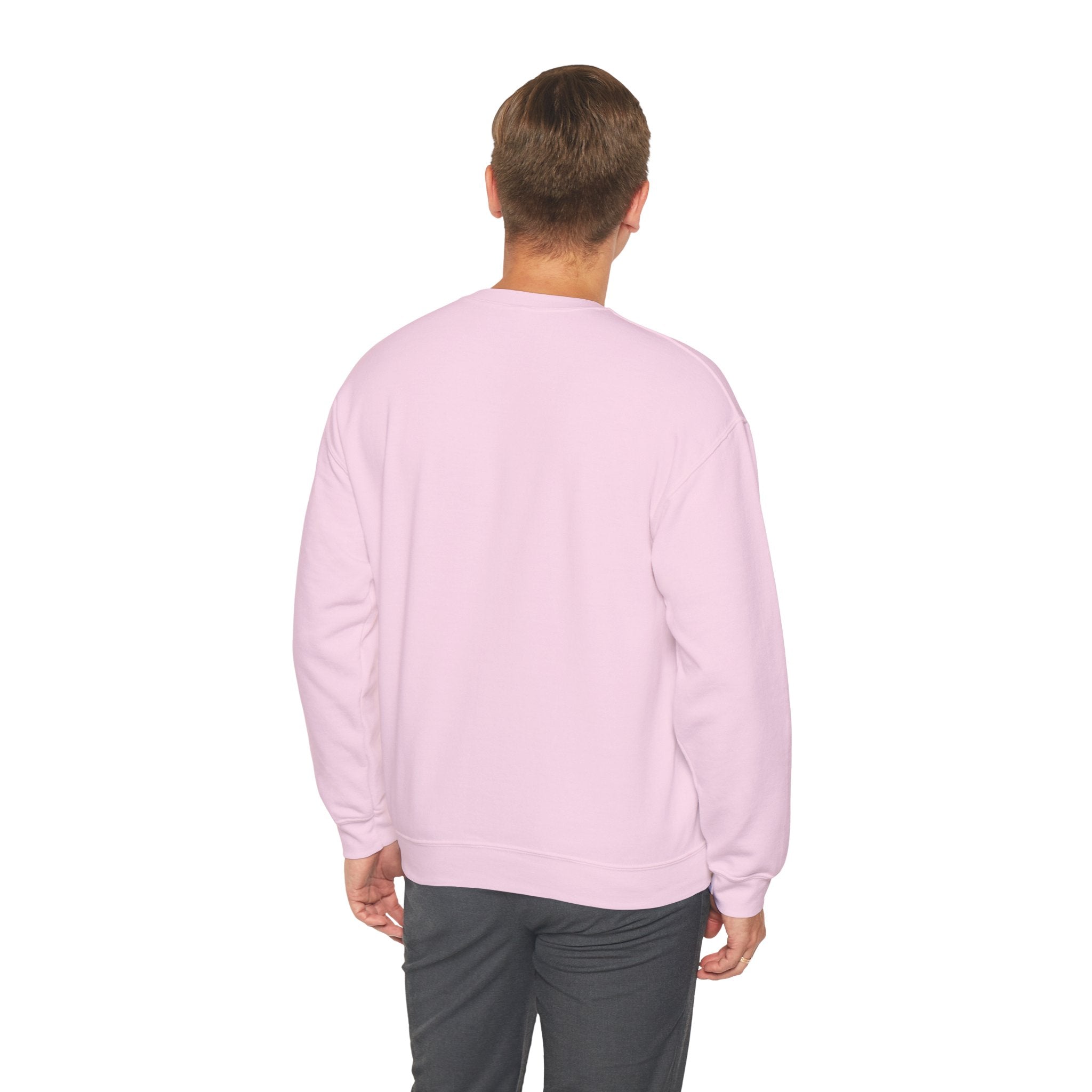 Holloway Apparel Co. Crewneck Sweatshirt — Vintage Spade Logo Pullover